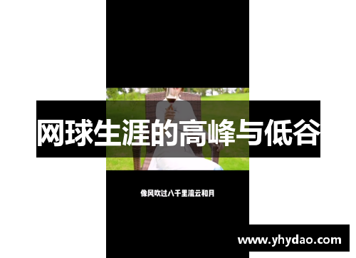 网球生涯的高峰与低谷